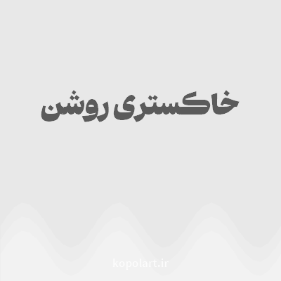 رنگ خاکستری روشن (Light Gray Color) با کد هگز E8E8E8