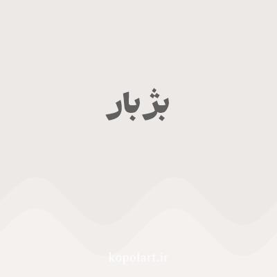 رنگ بژ بار (Seashell Color) با کد هگز EDE9E6