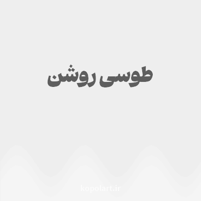 رنگ طوسی روشن (Light Gray Color) با کد هگز EEEEEE