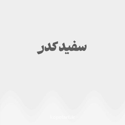 رنگ سفید کدر با کد EEEEEF