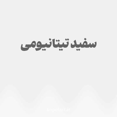 رنگ سفید تیتانیومی با کد F0F0F0
