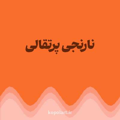 رنگ نارنجی پرتقالی (Orange Color) با کد هگز F96E2A