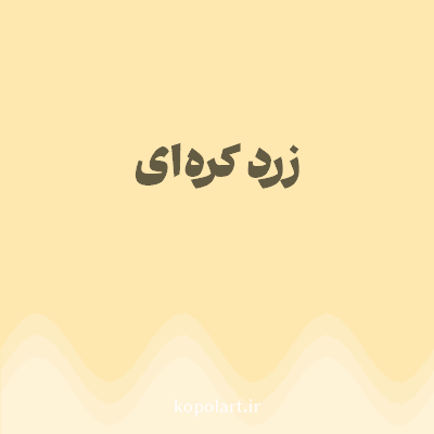 رنگ زرد کره‌ای با کد FEE8B0