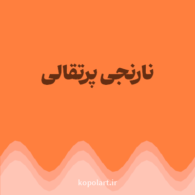 رنگ نارنجی پرتقالی (Orange Color) با کد هگز FF7F3E