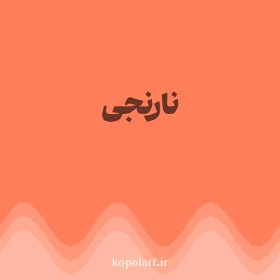 رنگ نارنجی (Orange Color) با کد هگز FF7F5B