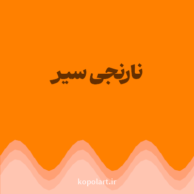 رنگ نارنجی سیر (Deep Orange Color) با کد هگز FF8000