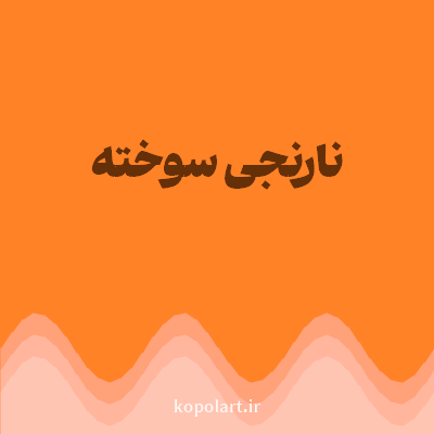 رنگ نارنجی سوخته (Burnt Orange Color) با کد هگز FF8226