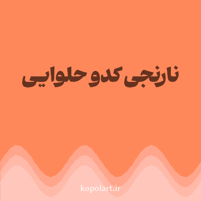 رنگ نارنجی کدو حلوایی با کد FF885B