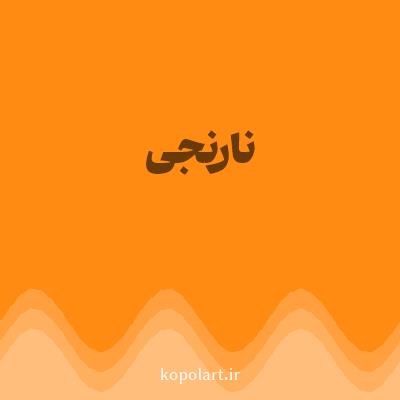 رنگ نارنجی (Orange Color) با کد هگز FF8B13