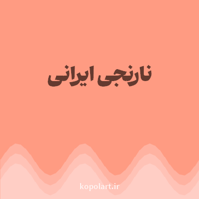 رنگ نارنجی ایرانی (Persian Orange Color) با کد هگز FF9B82
