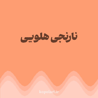 رنگ نارنجی هلویی (Peach Orange Color) با کد هگز FF9D72