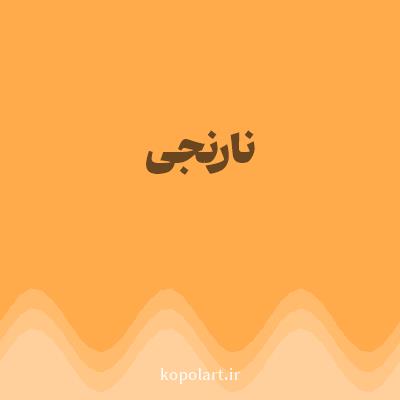 رنگ نارنجی (Orange Color) با کد هگز FFAB4C