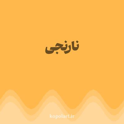 رنگ نارنجی (Orange Color) با کد هگز FFB84C