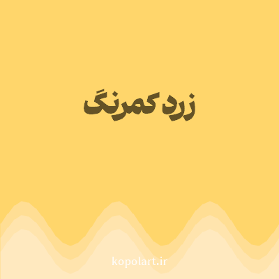 رنگ زرد کمرنگ (Pale Yellow Color) با کد هگز FFD66B