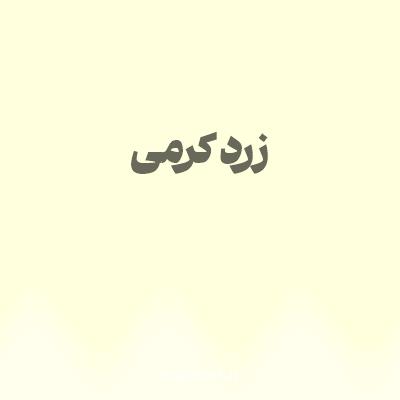 رنگ زرد کرمی با کد FFFFDD