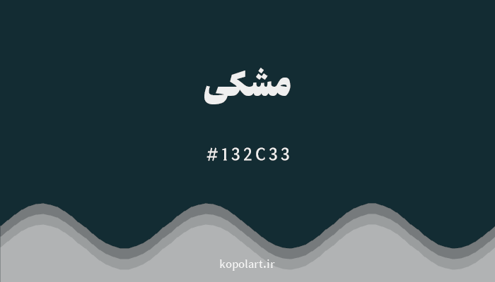 رنگ‌مشکی با کد هگزادسیمال 132C33