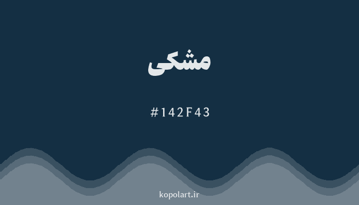 رنگ مشکی با کد هگزادسیمال 142F43