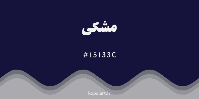 رنگ مشکی با کد هگزادسیمال 15133C