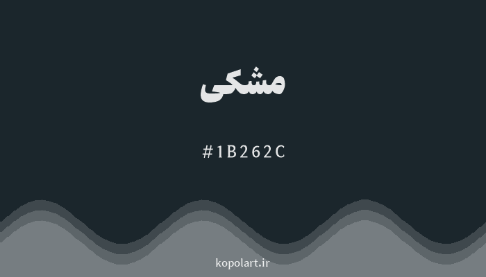 رنگ مشکی با کد هگزادسیمال 1B262C