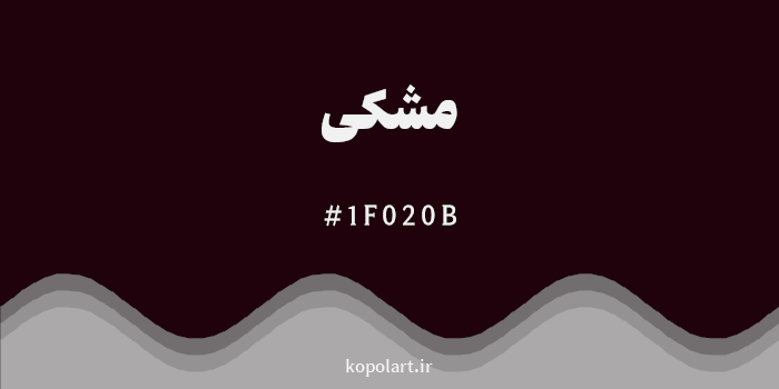 رنگ مشکی با کد هگزادسیمال 1F020B