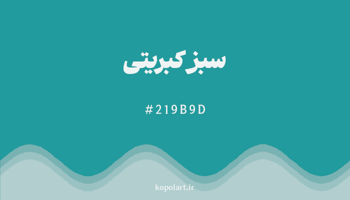 رنگسبز کبریتی با کد هگزادسیمال 219B9D