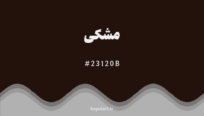 رنگ مشکی با کد 23120B
