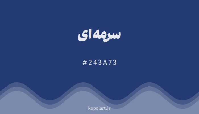 رنگ سرمه‌ای با کد هگزادسیمال 243A73