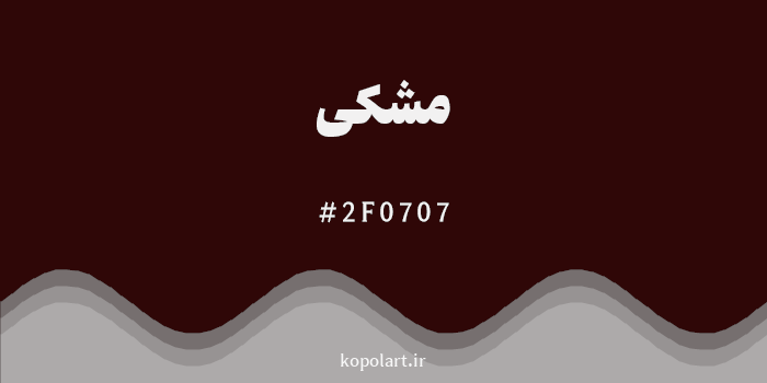 رنگ مشکی با کد هگزادسیمال 2F0707