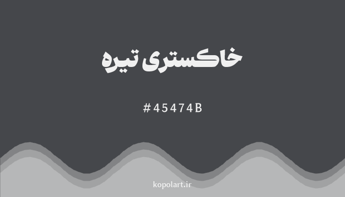 رنگخاکستری تیره با کد هگزادسیمال 45474B