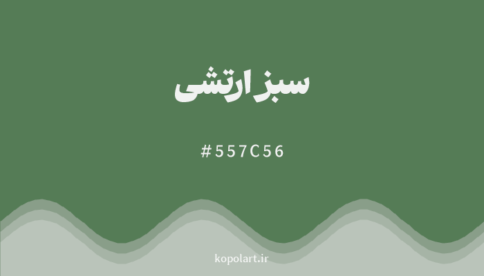 رنگ سبز ارتشی با کد 557C56