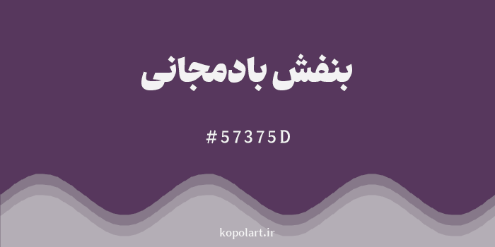 رنگ بنفش بادمجانی با کد هگزادسیمال 57375D