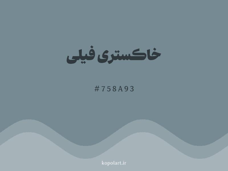 رنگ خاکستری فیلی با کد هگزادسیمال 758A93