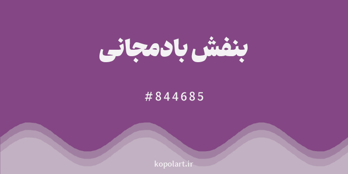 رنگ بنفش بادمجانی با کد هگزادسیمال 844685