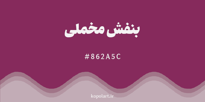رنگ بنفش مخملی با کد هگزادسیمال 862A5C
