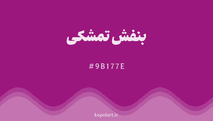 رنگبنفش تمشکی با کد هگزادسیمال 9B177E