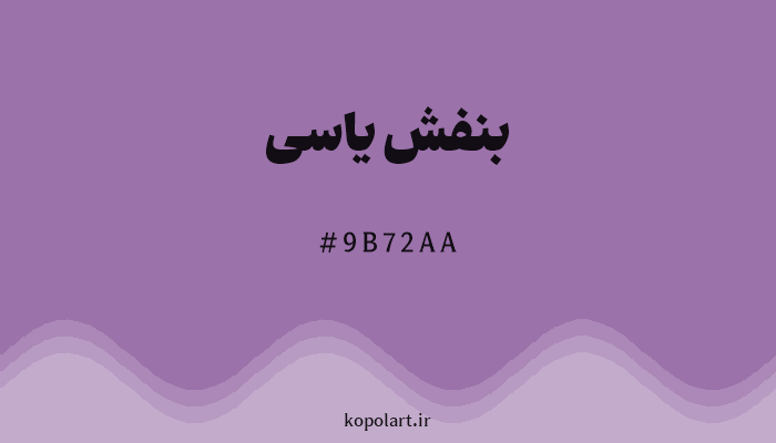رنگ بنفش یاسی با کد هگزادسیمال 9B72AA