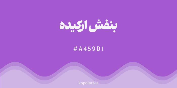 رنگ بنفش ارکیده با کد هگزادسیمال A459D1
