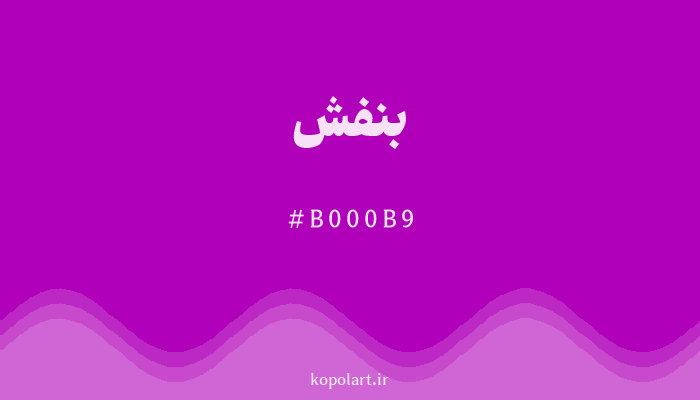 رنگ بنفش با کد هگزادسیمال B000B9
