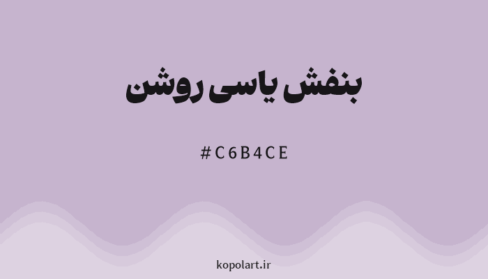 رنگ بنفش یاسی روشن با کد هگزادسیمال C6B4CE
