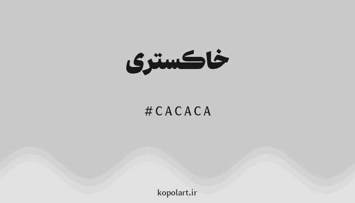 رنگ خاکستری با کد CACACA
