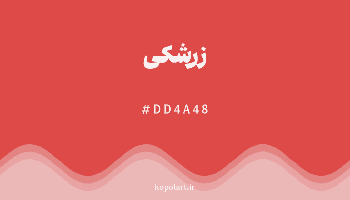 رنگزرشکی با کد هگزادسیمال DD4A48