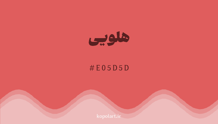 رنگهلویی با کد هگزادسیمال E05D5D