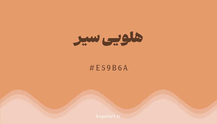 رنگهلویی سیر با کد هگزادسیمال E59B6A