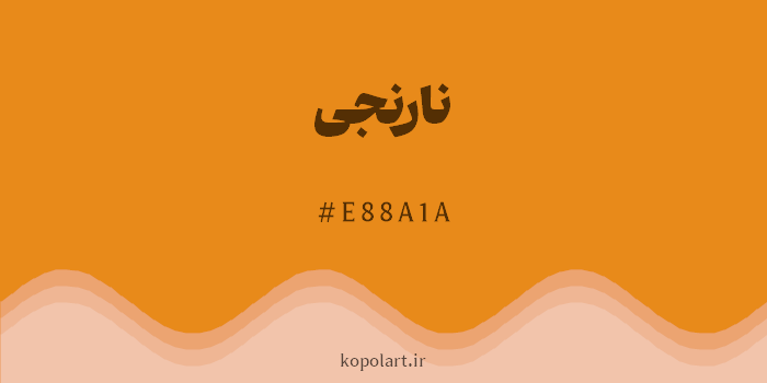 رنگ نارنجی با کد هگزادسیمال E88A1A