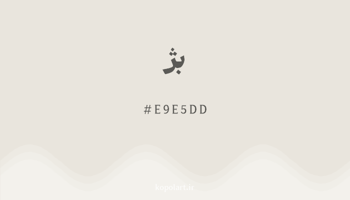 رنگ بژ با کد E9E5DD