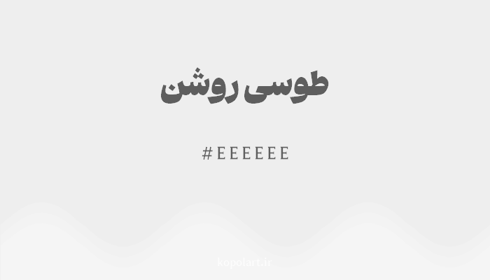 رنگطوسی روشن با کد هگزادسیمال EEEEEE