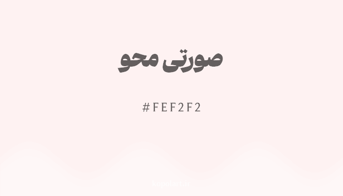 رنگصورتی محو با کد هگزادسیمال FEF2F2
