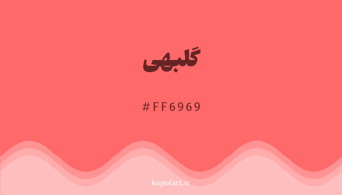 رنگگلبهی با کد هگزادسیمال FF6969