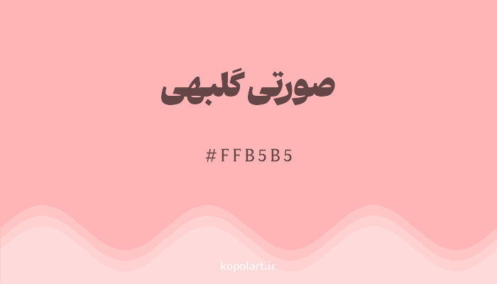 رنگصورتی گلبهی با کد هگزادسیمال FFB5B5