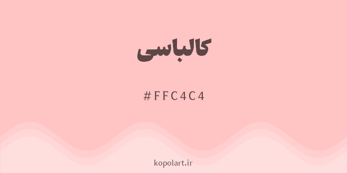 رنگ کالباسی با کد هگزادسیمال FFC4C4